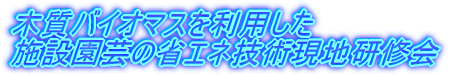 �؎��o�C�I�}�X�𗘗p�����{�݉��|�̏ȃG�l�Z�p���n���C��