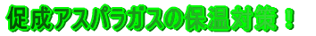 �����A�X�p���K�X�̕ۉ��΍�I
