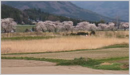 猿ヶ石川風景