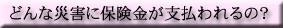 �ǂ�ȍЊQ�ɕی������x������́H