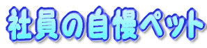 ����̃R�[�i�[�́H 