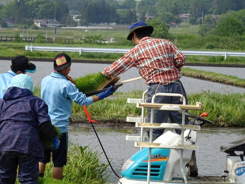 活動報告写真