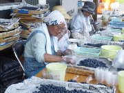 宮守川上流生産加工組合