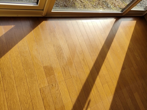 フローリング補修後